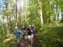 In Roddlesworth woods In Roddlesworth woods
