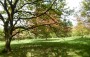Rivington Arboretum Rivington Arboretum