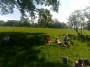 Finding shade Finding shade