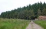 Logging at Entwistle Logging at Entwistle