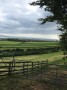 Country and sea Country and sea