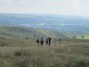  Near the edge of Knowl Moor  Near the edge of Knowl Moor
