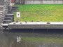 The ducks can read.... The ducks can read....