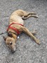 Alf was pooped! Alf was pooped!