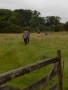Over the fields Over the fields