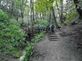 Through Fairy Glen Through Fairy Glen