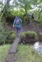 Bob walks the plank Bob walks the plank
