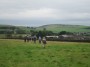 Across the field Across the field