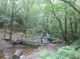 Crossing Cheesden Brook Crossing Cheesden Brook