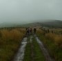 Still misty on the tops Still misty on the tops