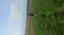 Across the fields Across the fields