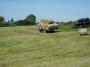 Bringing in the hay Bringing in the hay