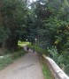 Splendiferous trees Splendiferous trees