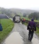 How many sheep can you get in a trailer this size? How many sheep can you get in a trailer this size?
