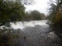  Weir in spate near Staveley