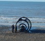 The Shell The Shell