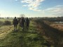 Along the Dyke Along the Dyke