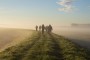 Misty mornings Misty mornings