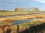 River and marsh River and marsh