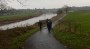 By the river Ribble at Fishwick By the river Ribble at Fishwick