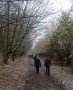 Through Brockholes Through Brockholes