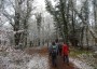 Walking in a winter wonderland Walking in a winter wonderland