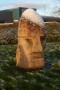 Snowy head Snowy head