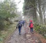 Woodland track near Barley Woodland track near Barley