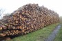 Someone will have a good fire! Someone will have a good fire!