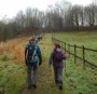 Heading up to the woods Heading up to the woods