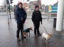 Paul not only leads, he looks after the dogs too. Paul not only leads, he looks after the dogs too.