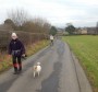 Along the track to Stonyhurst Along the track to Stonyhurst