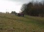 Towards Lilford Park Towards Lilford Park