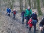 Hulton Park woods Hulton Park woods