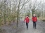 Through the wood Through the wood
