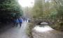 Lots of water in the lake and stream Lots of water in the lake and stream