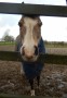 Hi there! Hi there!