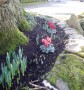 Spring is coming Spring is coming