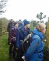 Looking at a very interesting garden Looking at a very interesting garden