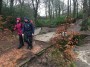 Smithills Clough Smithills Clough