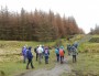 Past the woodland Past the woodland