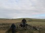 Stile onto Swinshaw Moor Stile onto Swinshaw Moor