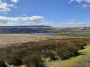 Winter Hill in the distance Winter Hill in the distance