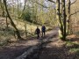 Alma and Dave walk in the wood Alma and Dave walk in the wood