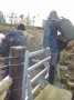 A posh stile A posh stile