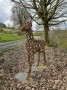 Deer oh deer Deer oh deer