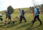 Striding along Striding along
