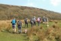 On Holcombe Moor On Holcombe Moor