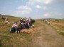 Lunch stop near Hawkshaw Lunch stop near Hawkshaw