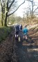 Down through the woods Down through the woods